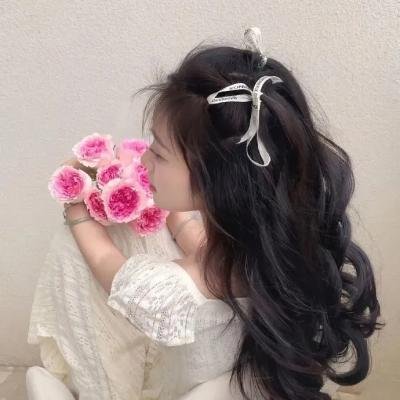 国土安全第五季