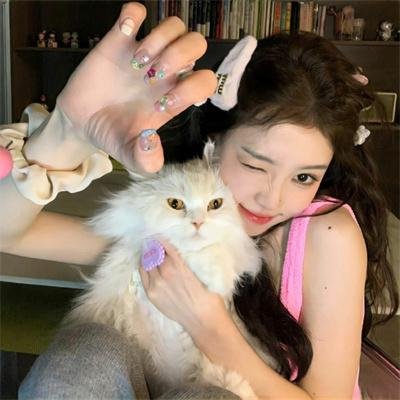 战争与和平3:1812年